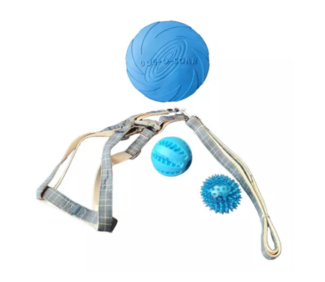 SET ARNÉS PERROS CUADRO + CORREA 2 PELOTAS + FRISBEE MASCOTAS - 1