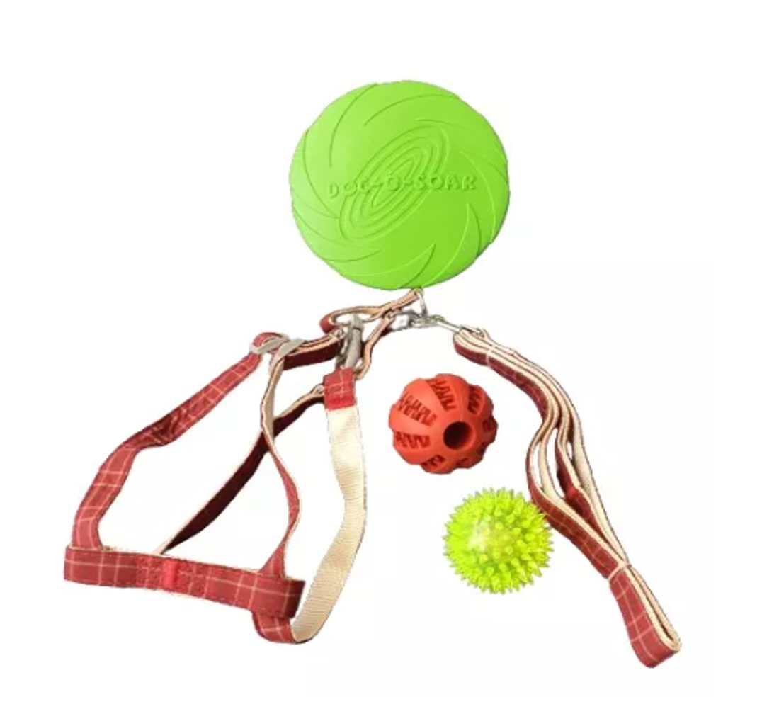 SET ARNÉS PERROS CUADRO + CORREA 2 PELOTAS + FRISBEE MASCOTAS - 2