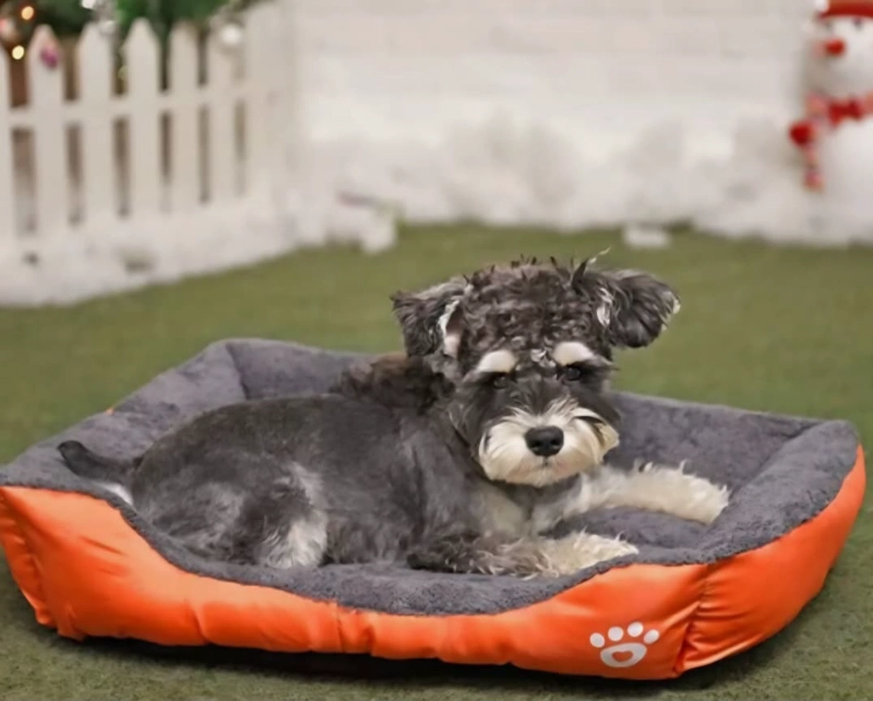 CAMA ULTRASUAVE PARA MASCOTAS TALLA M 54CM X 42CM - 4