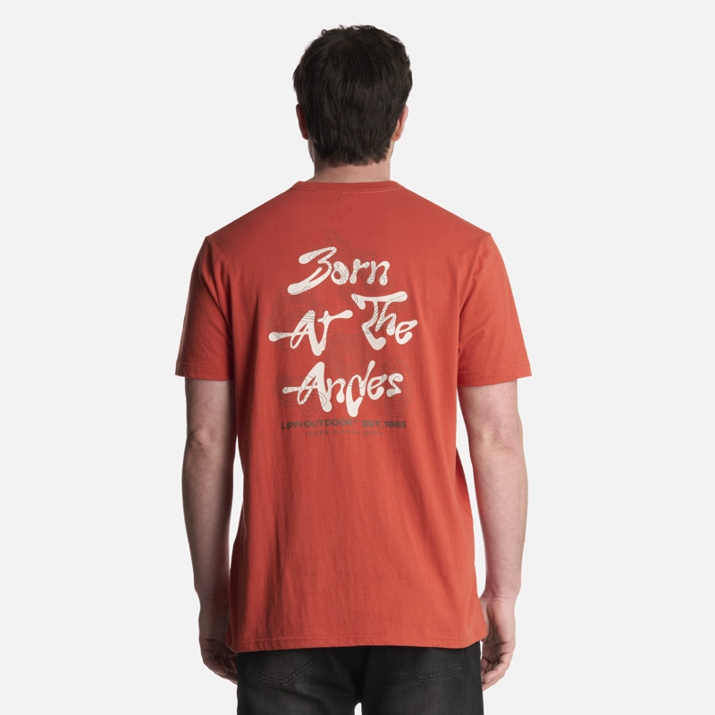 POLERA HOMBRE EXPLORE T-SHIRT TERRACOTA LIPPI - 2