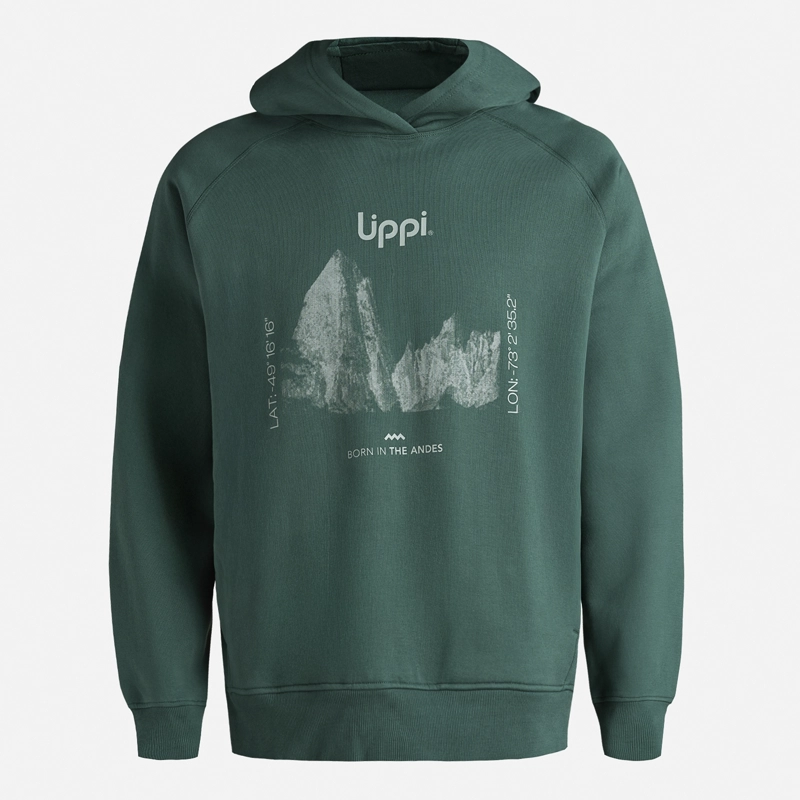 POLERON HOMBRE INSIGNE HOODY SWEATSHIRT FRONT PRINT VERDE BOTELLA LIPPI - 7