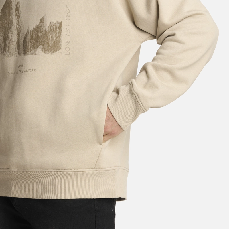POLERON HOMBRE INSIGNE HOODY SWEATSHIRT FRONT PRINT BEIGE LIPPI - 5