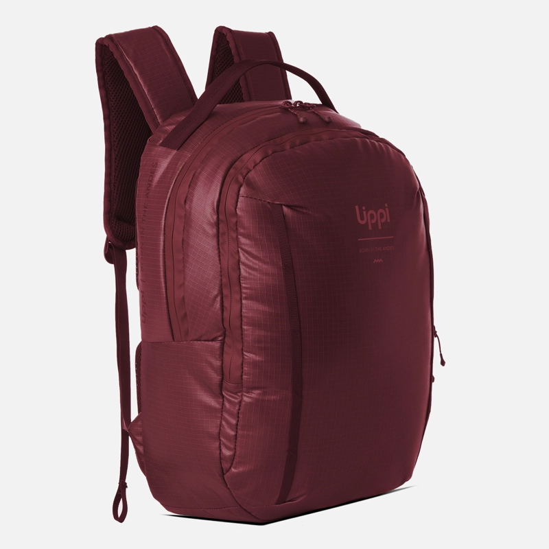 MOCHILA VENTURE DAYPACK 20L BURDEO LIPPI - 2