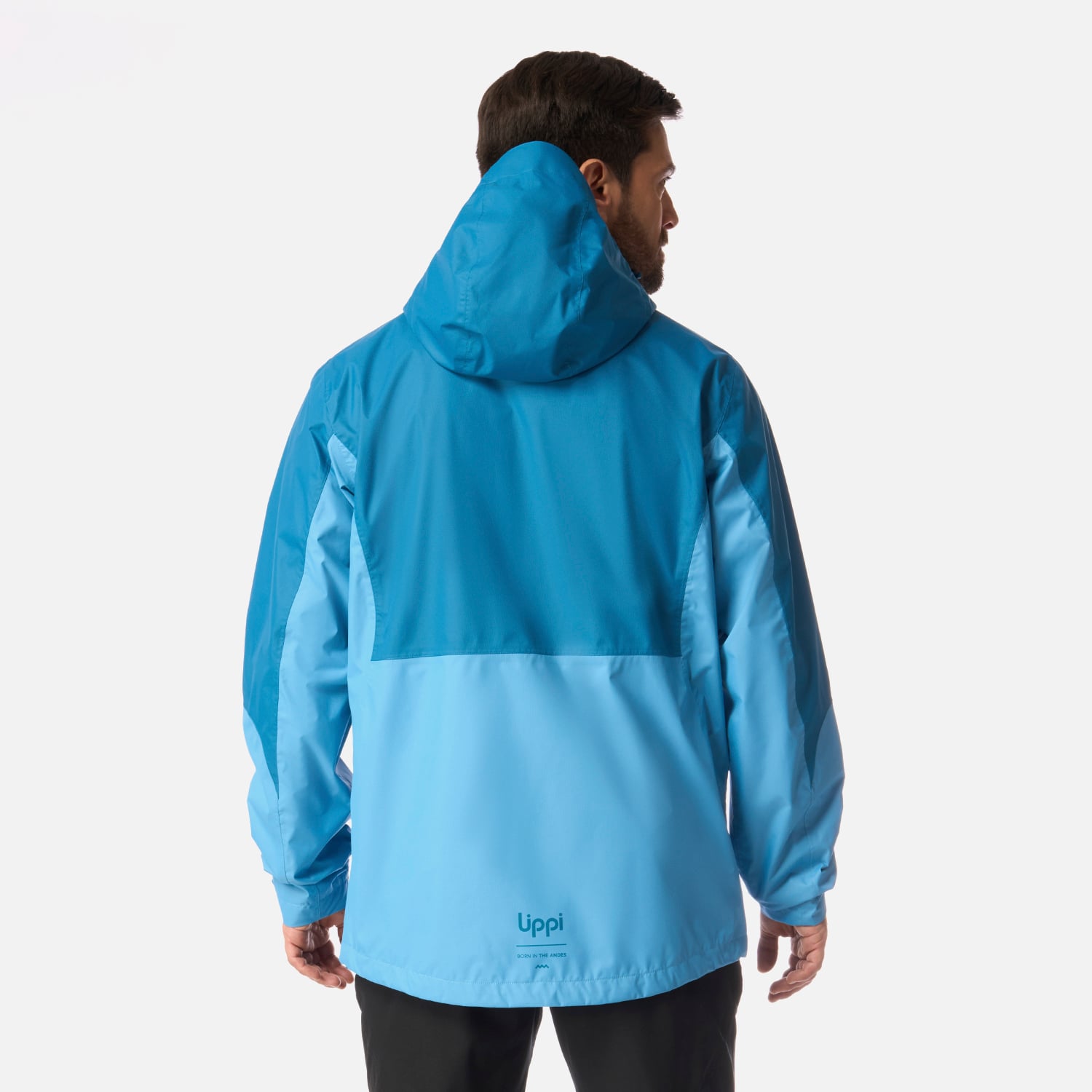 CHAQUETA HOMBRE BLIZZARD B-DRY HOODY JACKET CALIPSO LIPPI I26 - 3