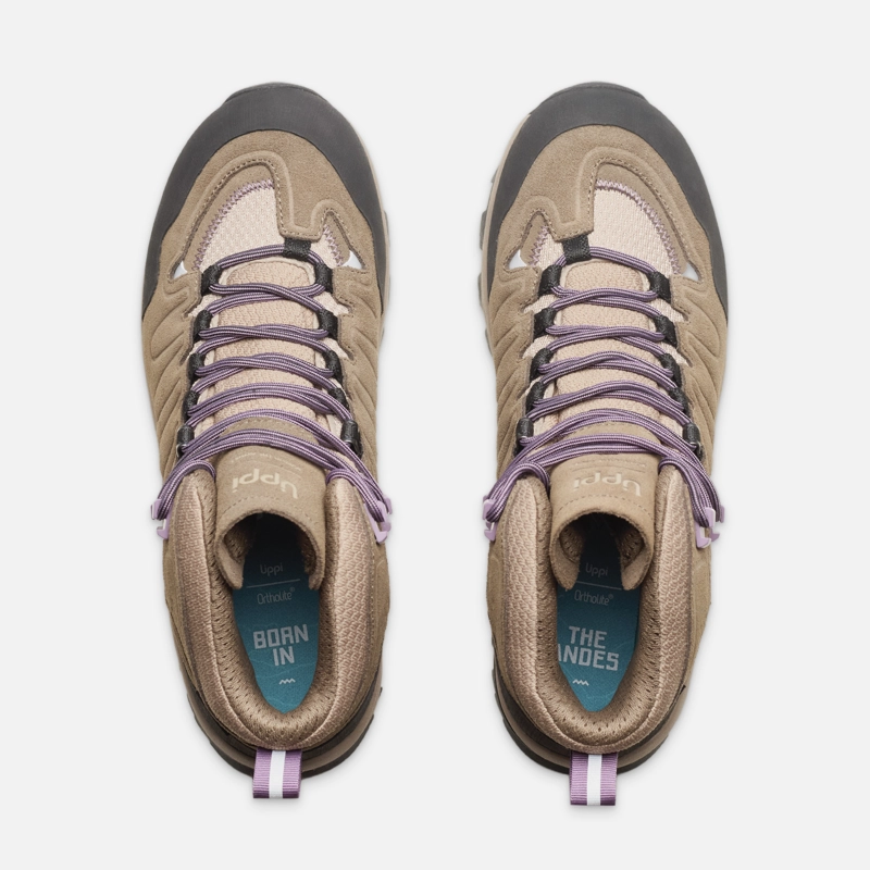BOTIN MUJER ALL TERRA MID CAFE / MORADO LIPPI I26 - 6