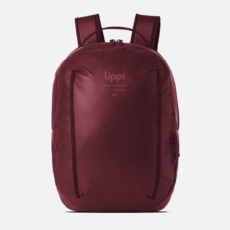 MOCHILA VENTURE DAYPACK 20L BURDEO LIPPI I26 - 1