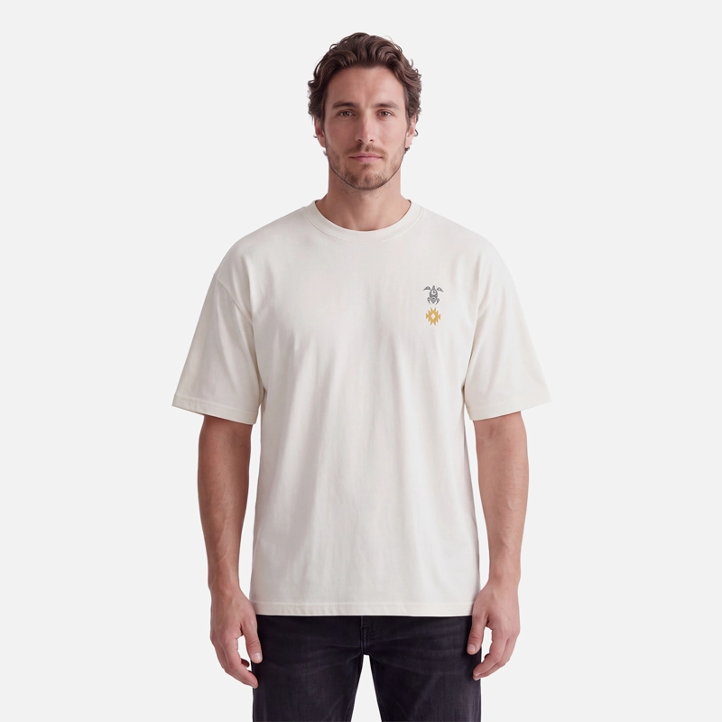 POLERA HOMBRE NORTE GRANDE GRIS CLARO HAKA HONU V27 XS