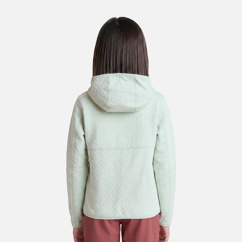 POLERON NIÑA SALTAMONTES NANO-F 1/4 ZIP HOODY JADE LIPPI V27 - 2