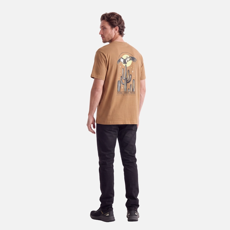 POLERA HOMBRE VOY Y VUELVO CAFE CLARO HAKA HONU V27 - 3