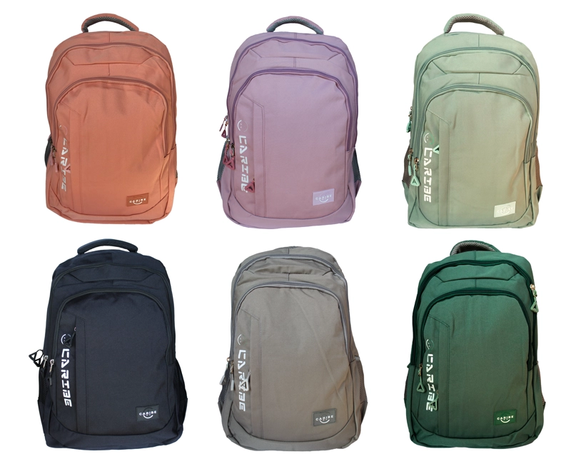 MOCHILA ESCOLAR URBANA JUVENIL GRANDE - 2
