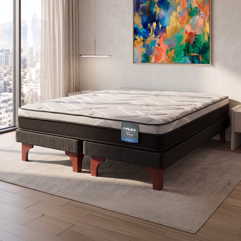 CAMA EUROPEA DREAM PRO 2 PLAZAS BOX 150X200 FLEX - 6