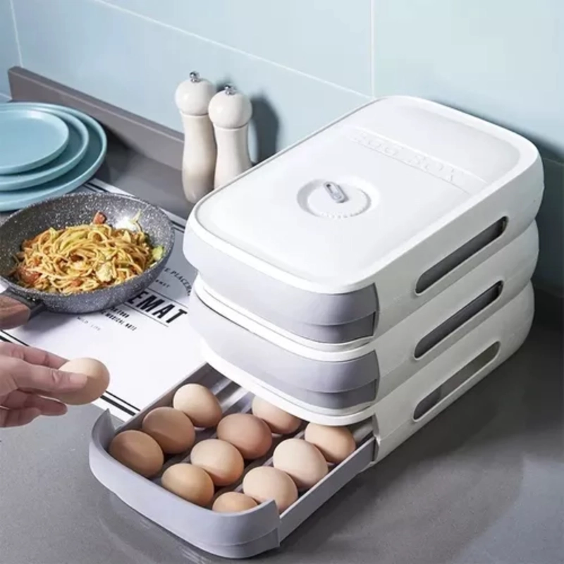 ORGANIZADOR DE HUEVOS CAJA PARA 18 - 21 UNIDADES - 2