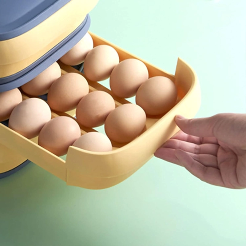 ORGANIZADOR DE HUEVOS CAJA PARA 18 - 21 UNIDADES - 3