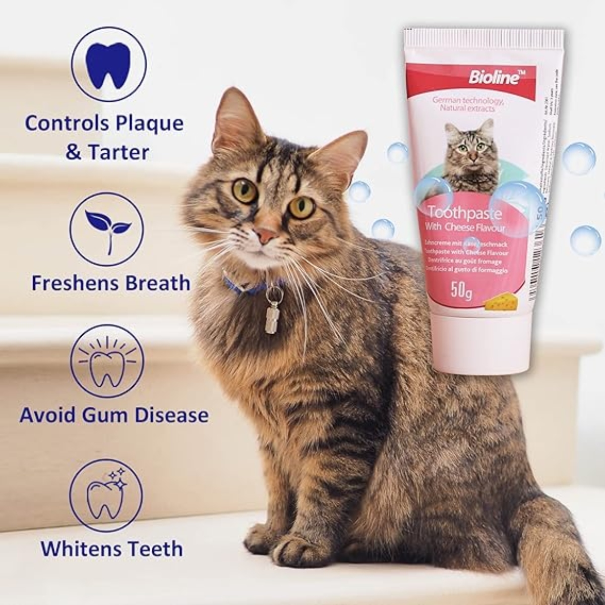 SET CUIDADO BUCAL GATOS OEM SABOR QUESO BIOLINE - 2