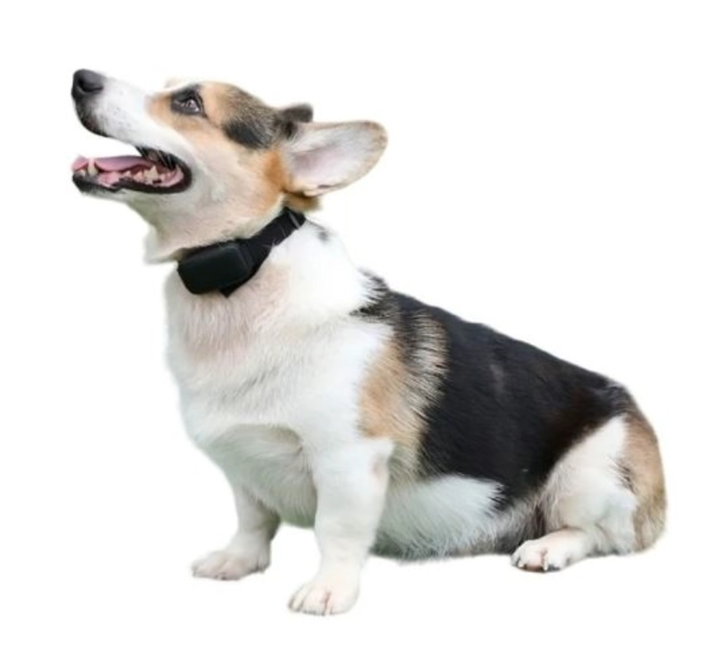 COLLAR PERROS OEM ELÉCTRICO ANTILADRIDOS MASCOTAS - 2