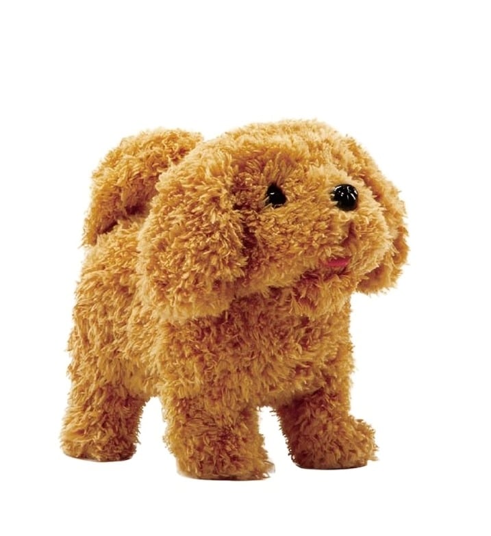 PERRITO CAFÉ CON  ACCESORIO - 3