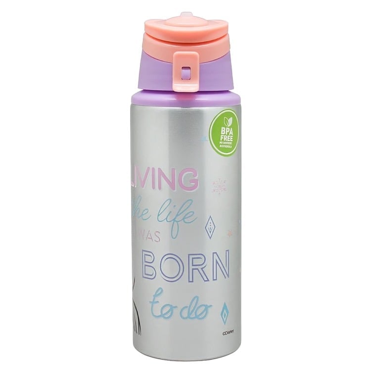 BOTELLA DISNEY METALICA LICENCIAS FROZEN MULTICOLOR 500 ML - 2