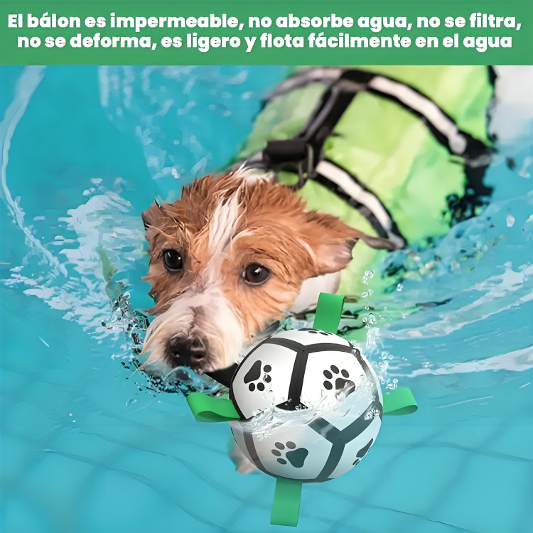 PELOTA PARA PERRO CON AGARRE JUGUETE PERRO PELOTA 15CM - 2