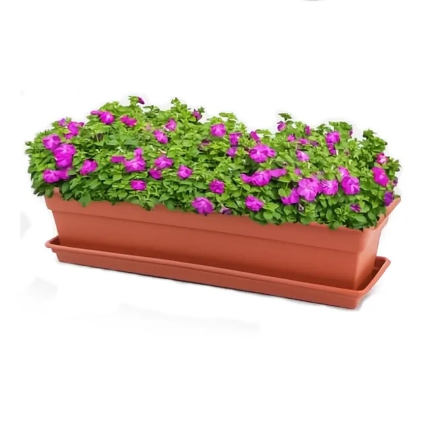 MACETA RECTANGULAR DURA KOTTA 61CM / TERRACOTA – REYPLAST - 2