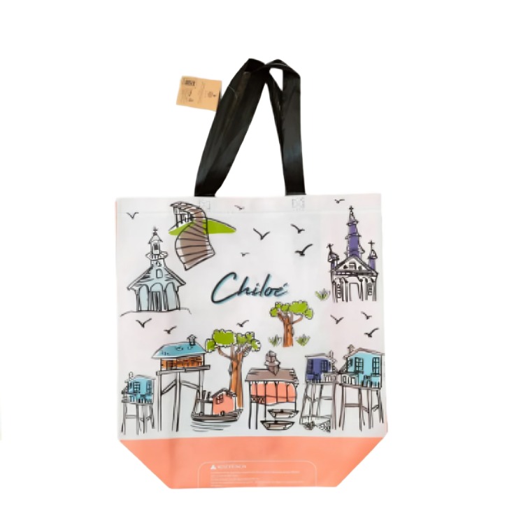 PACK DE 4 CARTERAS MULTIUSO CHILE COLLECTION  ERRE - 3