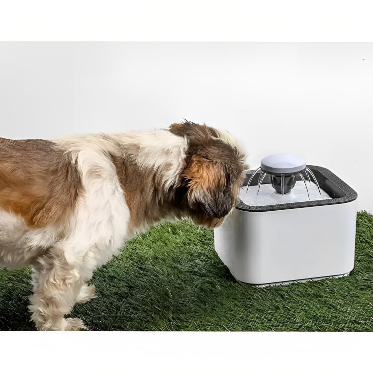 FUENTE DE AGUA BEBEDERO PARA GATOS Y PERROS DE 2.5 LITROS - 1