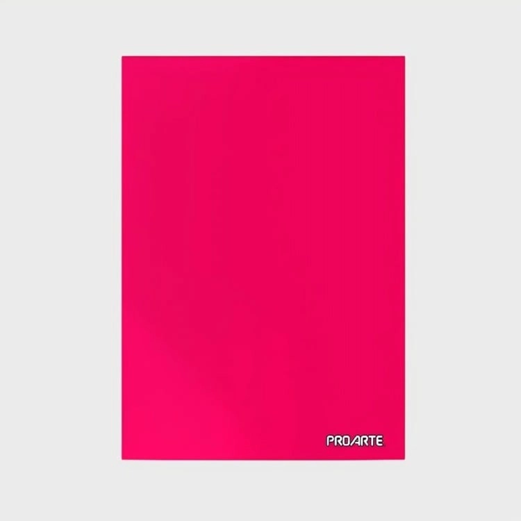 PACK 4 CARPETAS CON GUSANO / ROSADO – PROARTE - 1