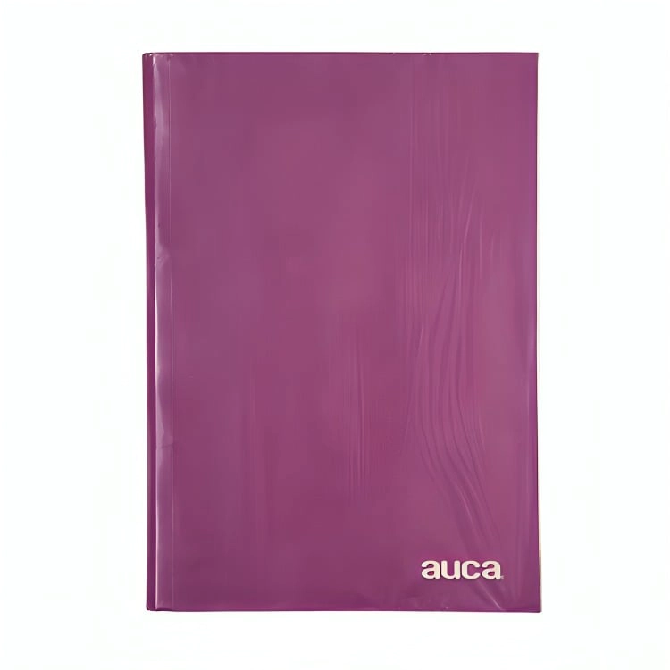 PACK 4  ARCHIVADOR PLASTIFICADO CON GUSANO / MORADO – AUCA - 1