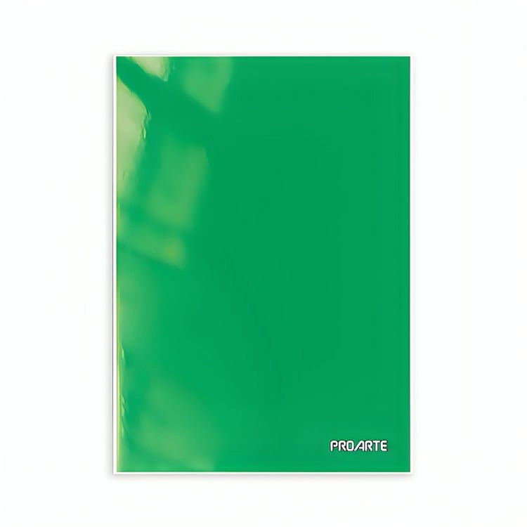 PACK 4 CARPETA CON GUSANO / VERDE – PROARTE - 2