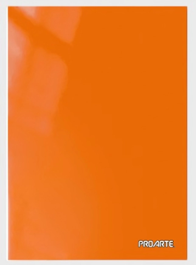PACK 4 CARPETA CON GUSANO / NARANJA – PROARTE - 1