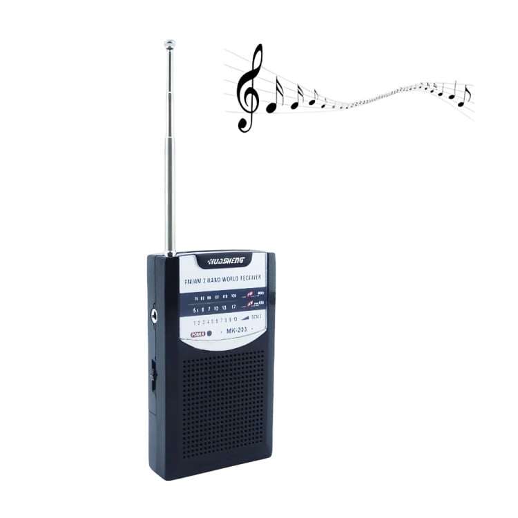 RADIO MINI 2 BANDAS HUDSHENG - 1
