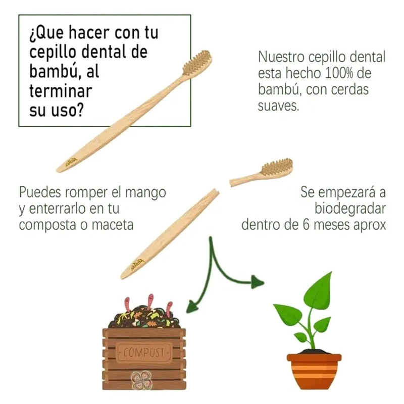 CEPILLO DE DIENTES BAMBU ADULTO PACK 10 UNIDADES ECOLOGICOS - 1