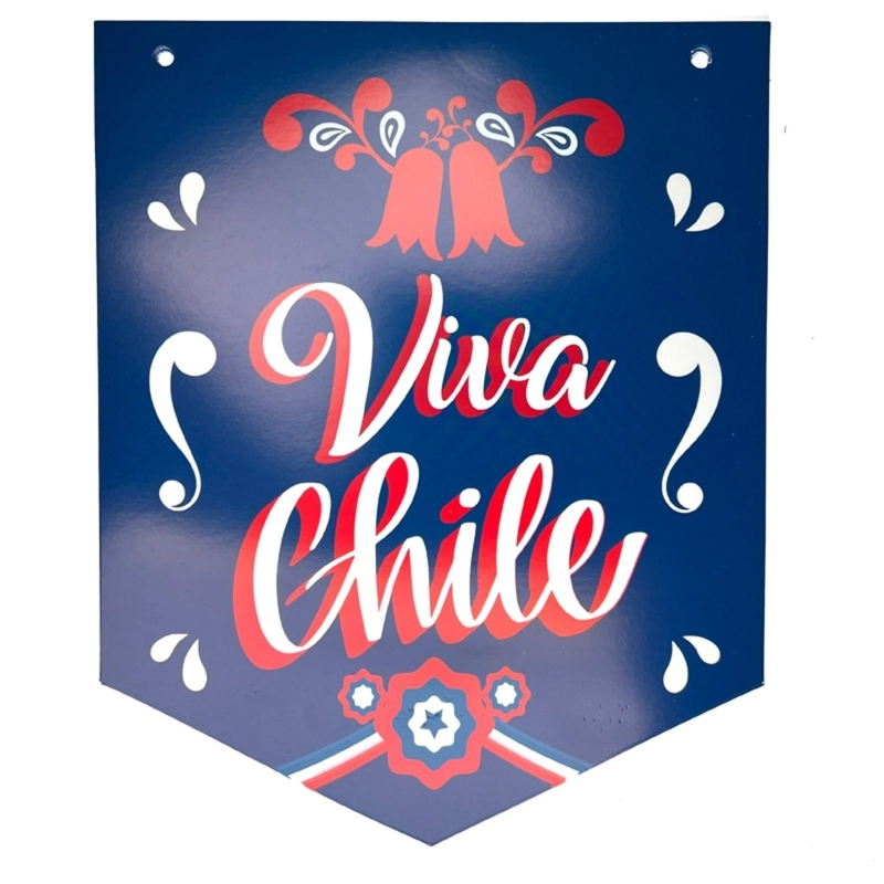 PACK X 4 GUIRNALDA 18 BANDERA 25 MTS – BIG PARTY - 4