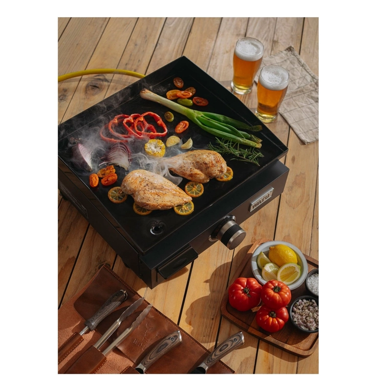 PLANCHA A GAS PARRILLA WAYU - 6