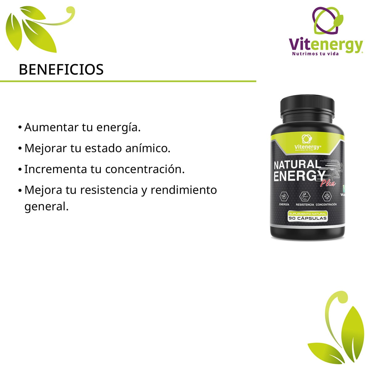 SUPLEMENTO ALIMENTICIO VITENERGY NATURAL ENERGY PLUS - 2