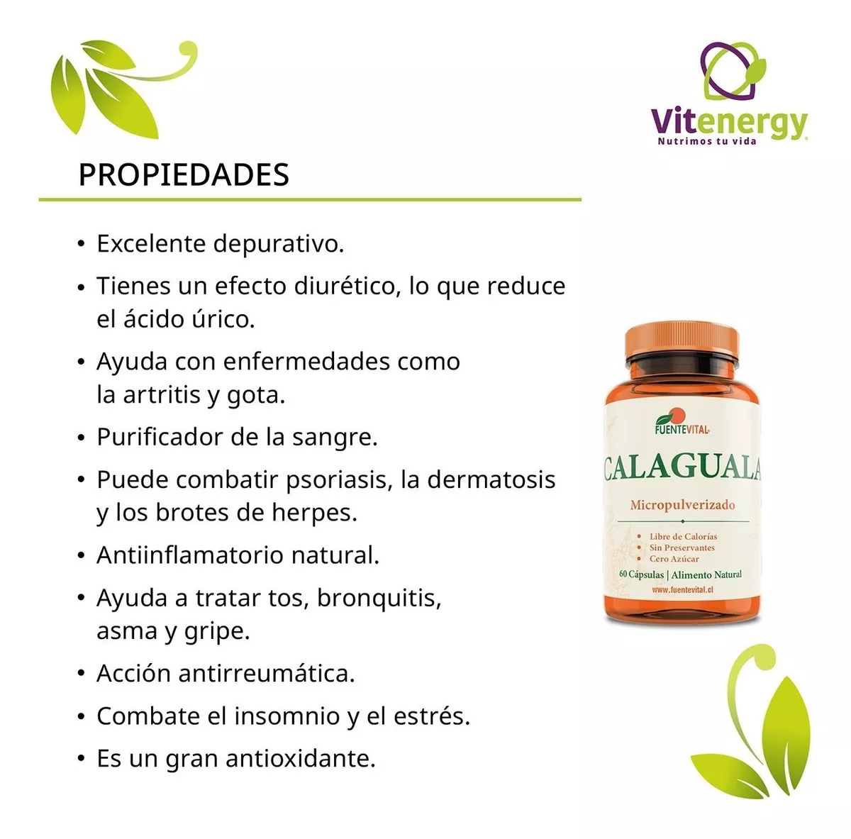 CALAGUALA PERUANA 100% FUENTE VITAL -CAPSULAS VEGETALES - DEPURADOR PACK X 3 - 2