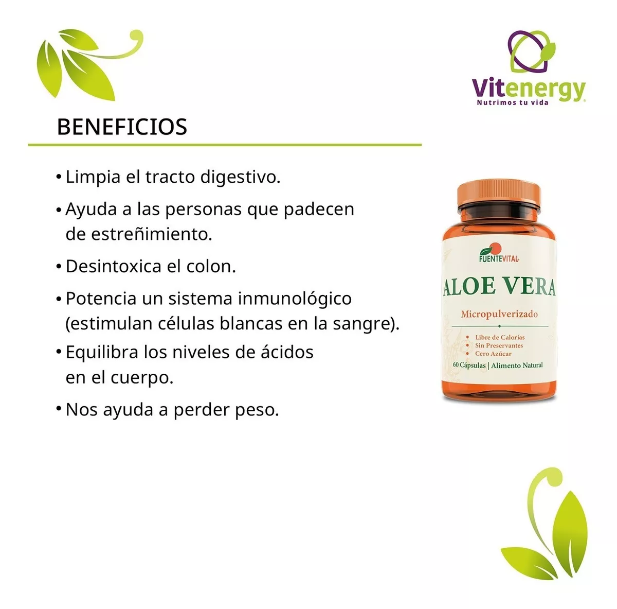 ALOE VERA FUENTE VITAL 100% 60 CÁPSULAS VEGAN ESTREÑIMIENTO DIGESTIÓN - 2