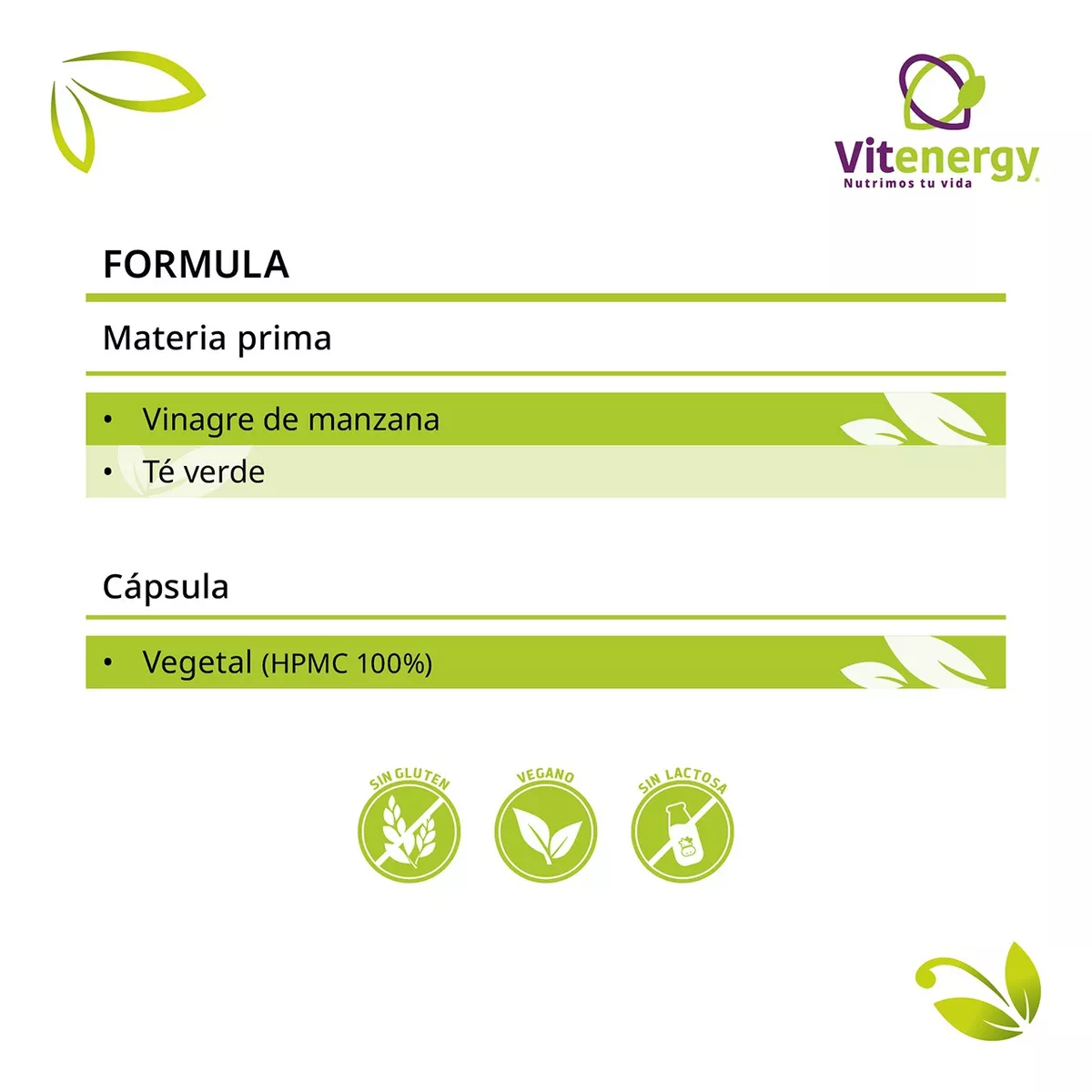 PACK VITENERGY TÉ VERDE VINAGRE DE MANZANA + LECITINA DE SOYA OFERTA - 5