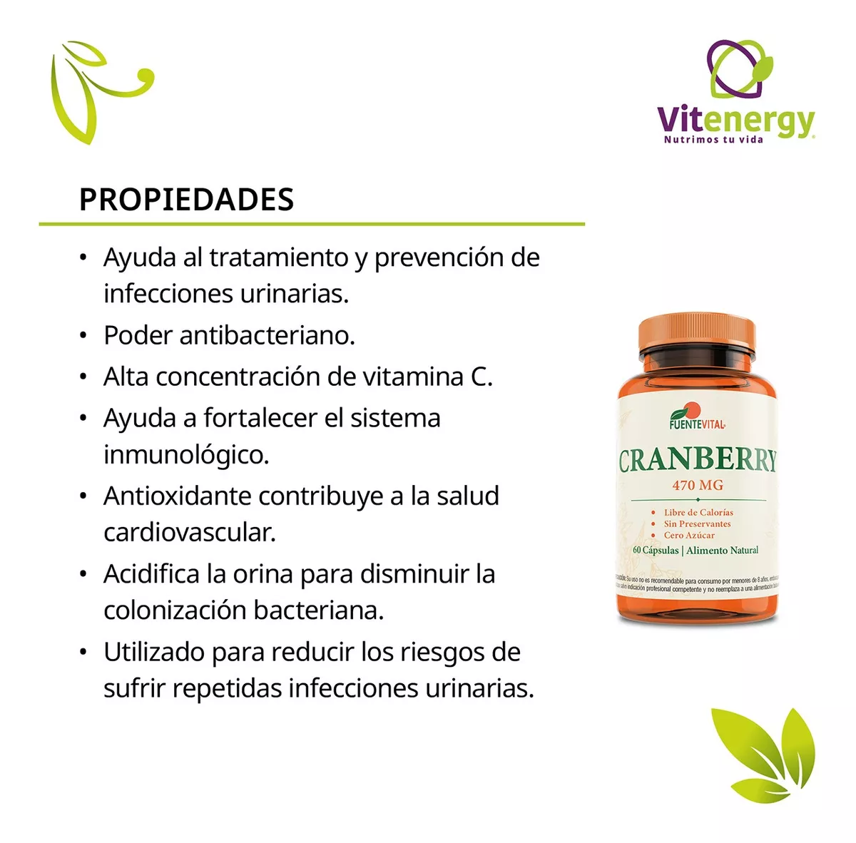 SUPLEMENTO ALIMENTICIO FUENTE VITAL CRANBERRY ARANDANO ROJO 60 CÁPSULAS PLUS 470MG OFERTA - 2