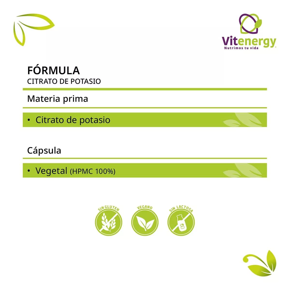 PACK FUENTE VITAL CITRATO DE POTASIO + ZINC QUELADO MAGNESIO - 4