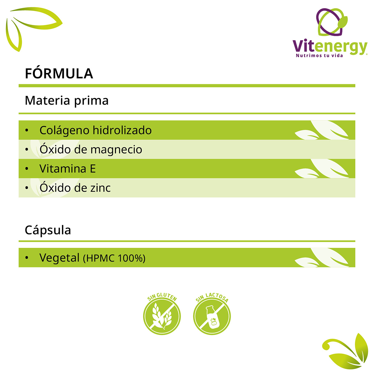 PACK VITENERGY COLÁGENO PLUS ZINC VITAMINA E MAGNESIO + VITAMINAS MENOPAUSIA - 4