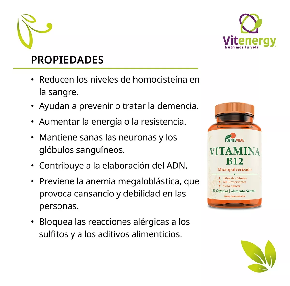 SUPLEMENTO ALIMENTICIO FUENTE VITAL VITAMINA B12 CAPSULA VEGETAL METILCOBALAMINA PACK X 3 - 2