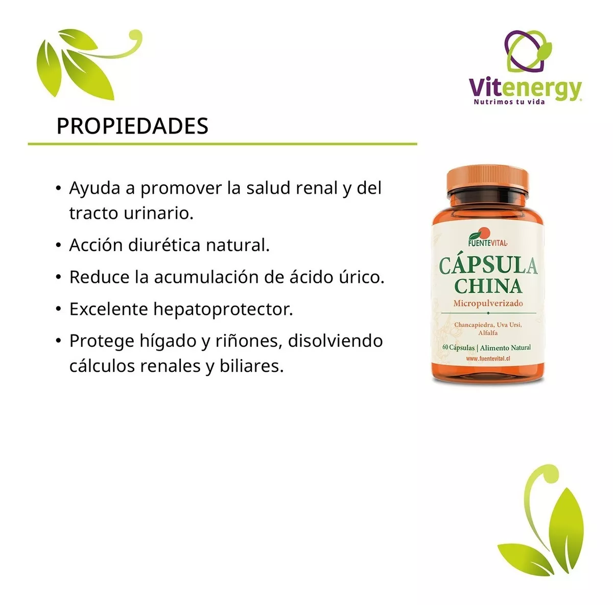 SUPLEMENTO ALIMENTICIO FUENTE VITAL CÁPSULA CHINA CHANCAPIEDRA UVA URSI DIURÉTICO OFERTA X2 - 2