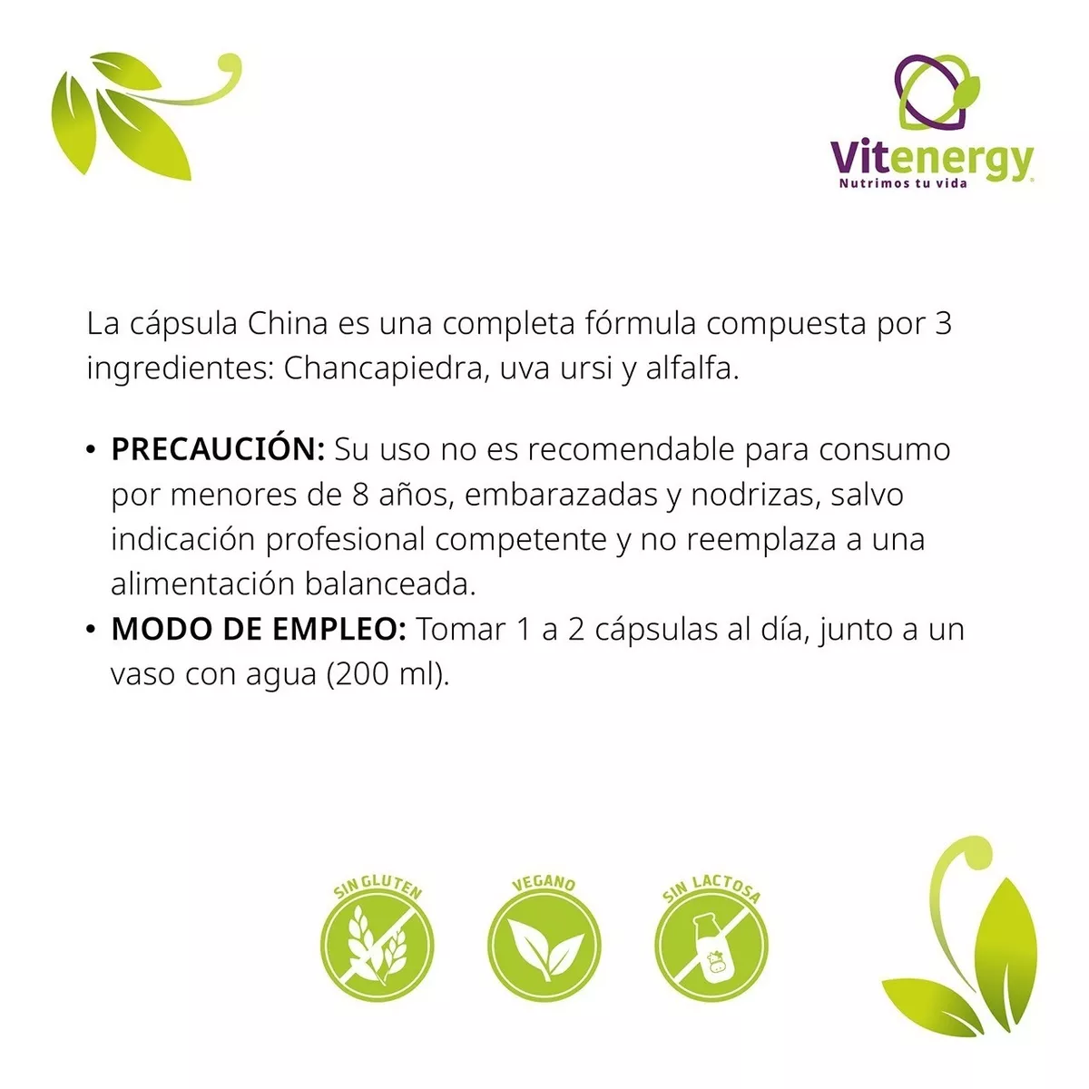 SUPLEMENTO ALIMENTICIO FUENTE VITAL CÁPSULA CHINA CHANCAPIEDRA UVA URSI DIURÉTICO OFERTA - 3