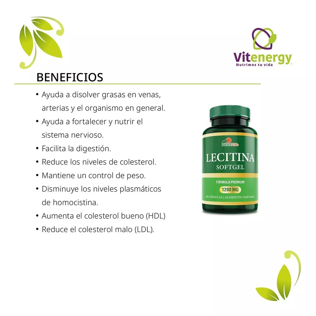 SUPLEMENTO ALIMENTICIO FUENTE VITAL LECITINA DE SOYA 1200 MG. OFERTA 60 CAPS SOFT GEL - 2