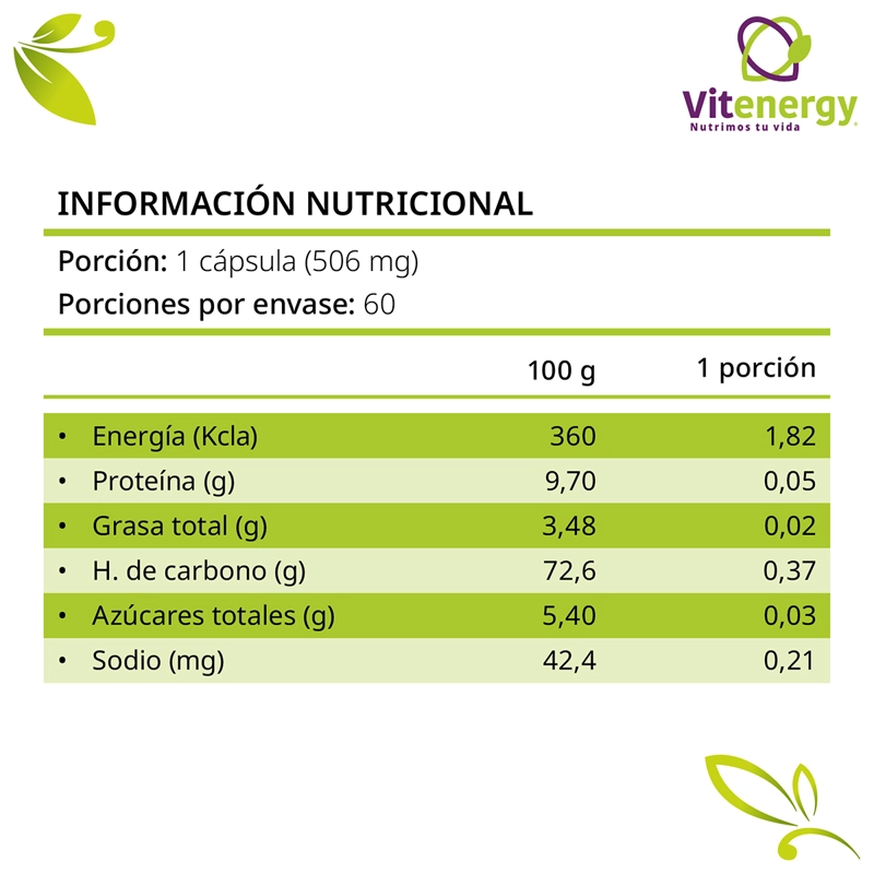 PACK 2 QUEMADOR DE GRASA VITENERGY TE VERDE + VINAGRE MANZANA + HERCAMPURI QUEMADOR NATURAL - 4