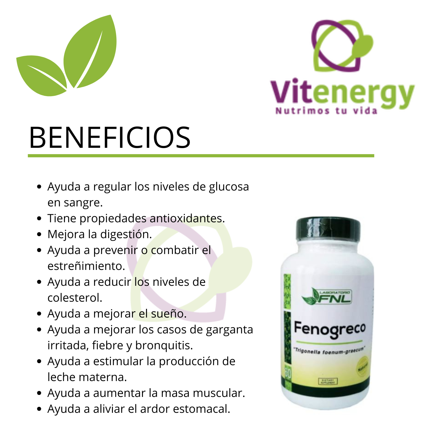 SUPLEMENTO ALIMENTICIO VITENERGY FENOGRECO 180 CÁPSULAS FNL- COLESTEROL - OFERTA PACK X3 - 2