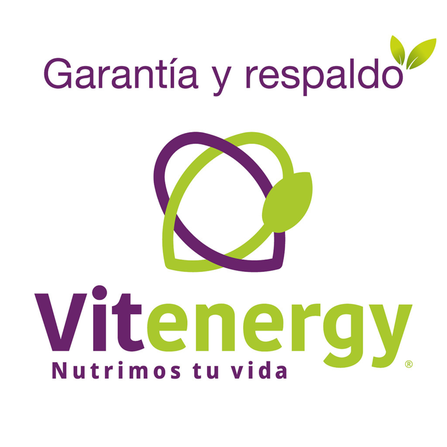 SUPLEMENTO ALIMENTICIO VITENERGY FENOGRECO 180 CÁPSULAS FNL- COLESTEROL - OFERTA PACK X3 - 4