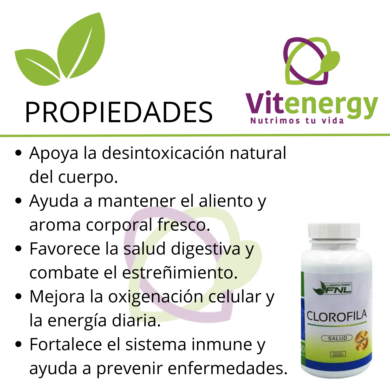 SUPLEMENTO ALIMENTICIO VITENERGY CLOROFILA 100% - 90 CÁPSULAS FNL - SALUD DIGESTIVA - OFERTA - 2