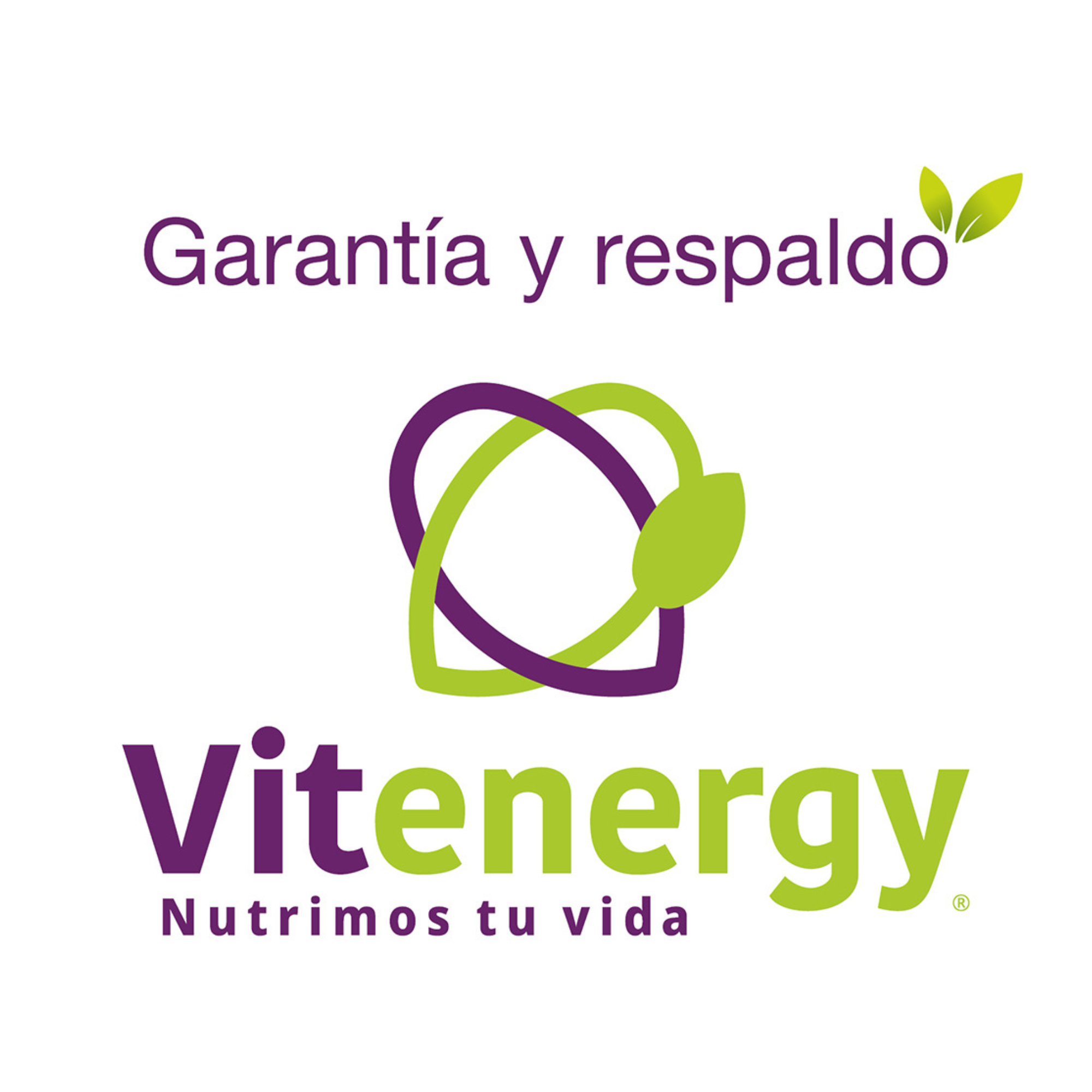 SUPLEMENTO ALIMENTICIO VITENERGY L TREONATO DE MAGNESIO 90 CÁPSULAS FNL - OFERTA - 4