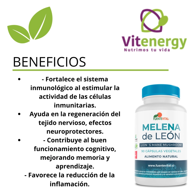 SUPLEMENTO ALIMENTICIO VITENERGY MELENA DE LEÓN HONGO 100% + VITAMINA K2 - D3 - PACK OFERTA - 3